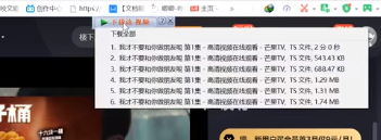 idm下載器保存網(wǎng)頁(yè)視頻步驟分享