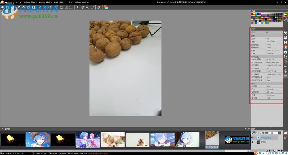 Musemage查看exif信息以及設(shè)置exif文字標(biāo)簽的方法