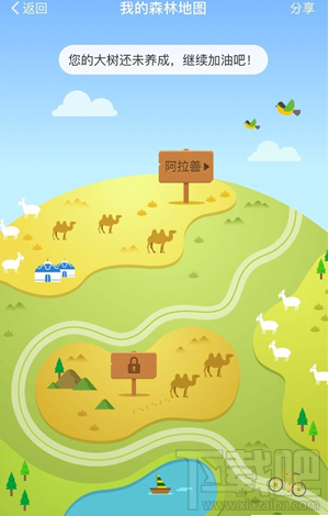 支付寶螞蟻森林地圖怎么進入？螞蟻森林模擬地圖入口在哪