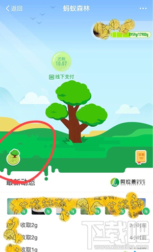 支付寶螞蟻森林地圖怎么進入？螞蟻森林模擬地圖入口在哪