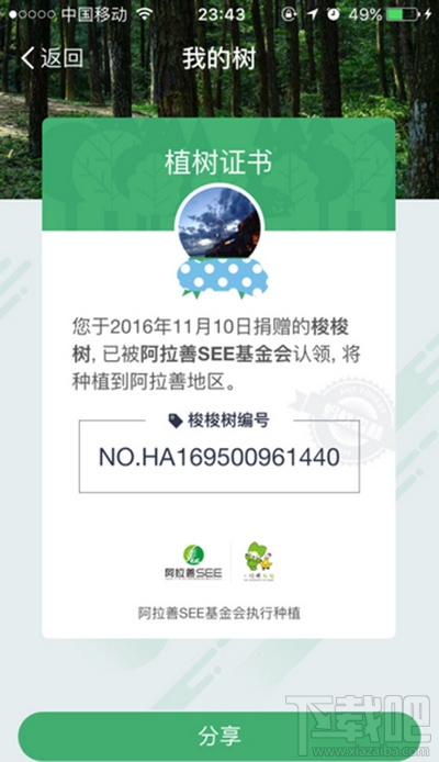 支付寶的螞蟻森林有能量真的會種樹嗎