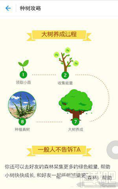 支付寶螞蟻森林澆水辦法？