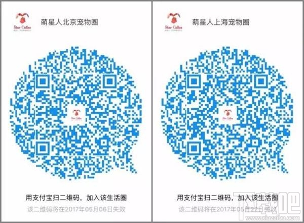 支付寶圈子怎么加？ 支付寶圈子推薦大全