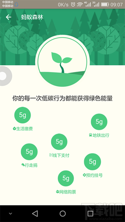 支付寶螞蟻森林是什么？支付寶螞蟻森林詳細介紹