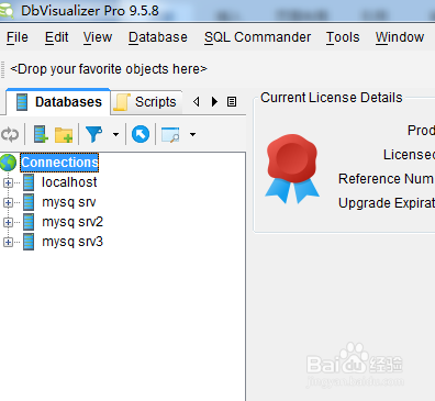 怎么使用DbVisualizer在數據庫連接下搜索表對象