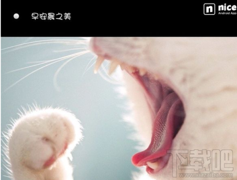 Nice怎么保存圖片 Nice保存圖片方法