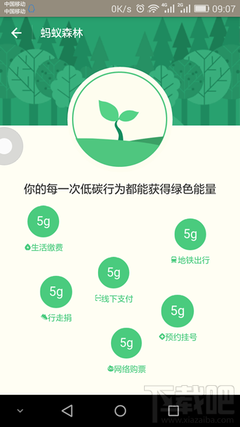 支付寶螞蟻森林在哪里 支付寶螞蟻森林是什么