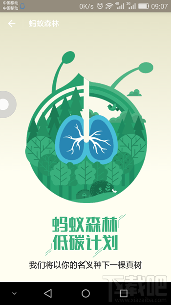 支付寶螞蟻森林在哪里 支付寶螞蟻森林是什么