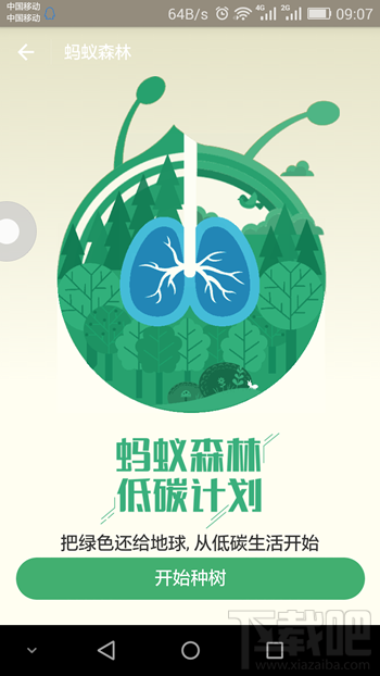 支付寶螞蟻森林在哪里 支付寶螞蟻森林是什么