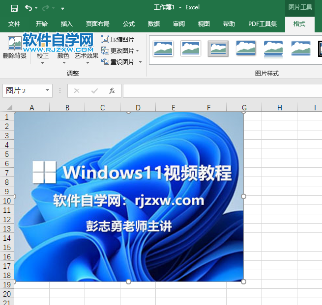 EXCEL2019怎么插入圖片