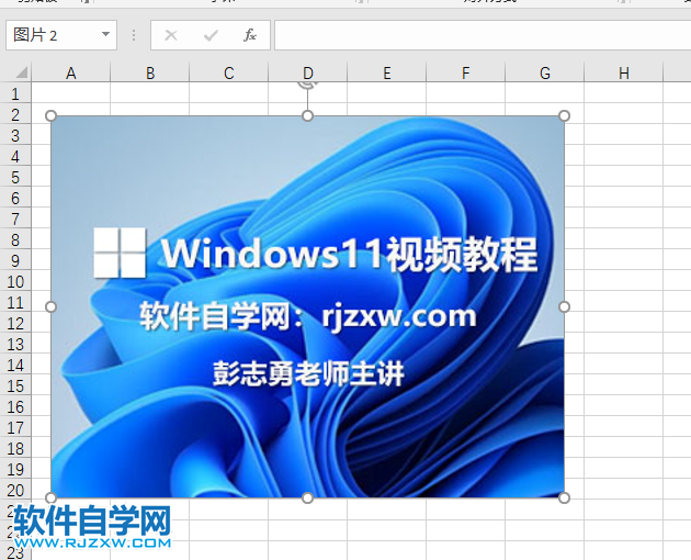 excel2019里面的圖片怎么調大小
