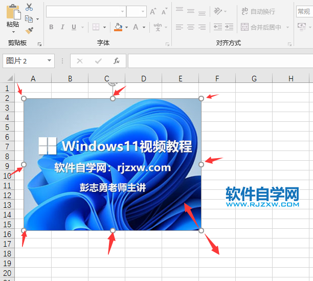 excel2019里面的圖片怎么調大小