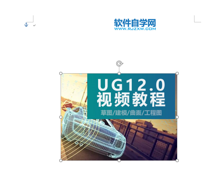 word2019中的圖片怎么移動