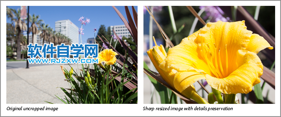 Photoshop中的“圖像大小”保留哪些細(xì)節(jié)