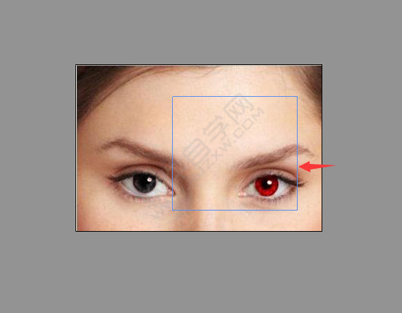 ps紅眼工具如何P紅眼