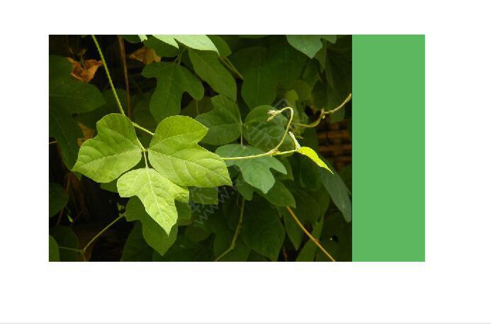 cdr圖文設計和排版技巧