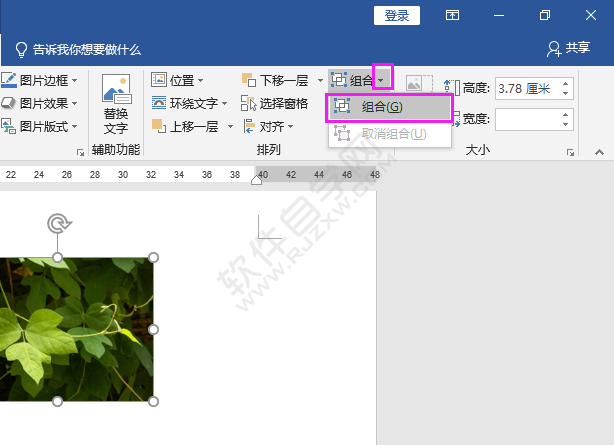 word組合對象成一個單個對象的方法