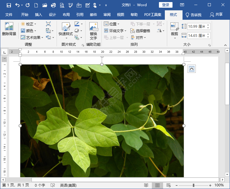 word中圖片高度寬度怎么設(shè)置