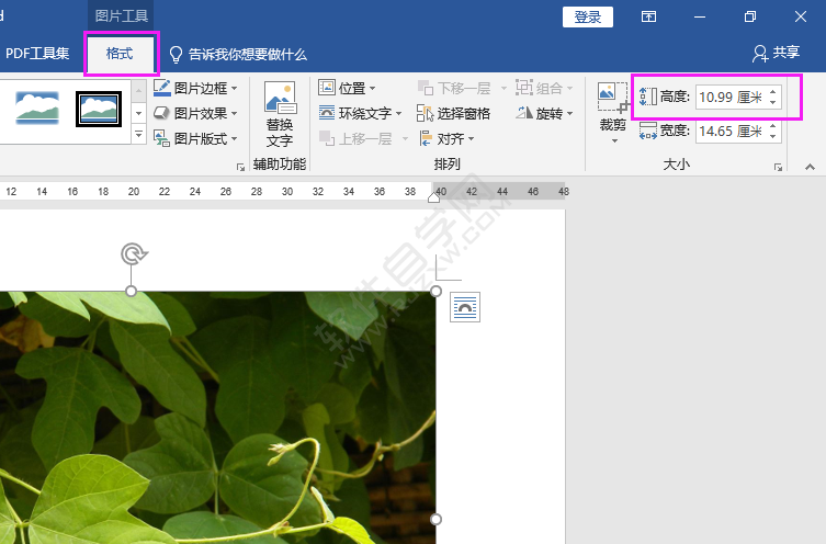 word中圖片高度寬度怎么設(shè)置