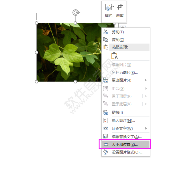 word中圖片高度寬度怎么設(shè)置