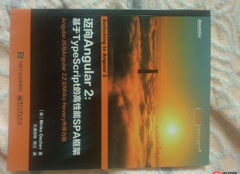 angular.js - 有沒有不需要先git clone xxxx的angular2的教程?