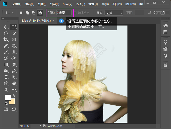 ps設置選區羽化的方法