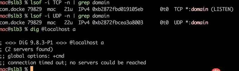 Docker for Mac 創(chuàng)建的dnsmasq容器連不上/不工作的問題
