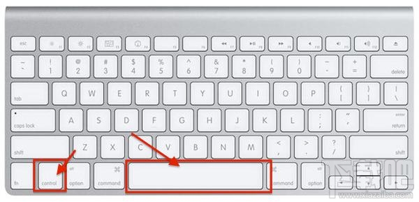 macOS怎么強制退出應用程序？macOS強制退出應用程序方法教程