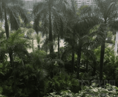 蘋果macOS High Sierra怎么樣?已完善Live Photos編輯功能