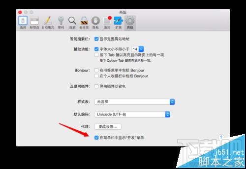 MAC系統中怎么開啟Safari開發者模式?