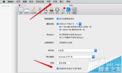 MAC系統中怎么開啟Safari開發者模式?