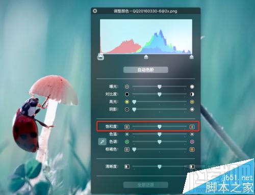 mac系統(tǒng)中怎么用自帶的預(yù)覽工具將圖片變成黑白色?