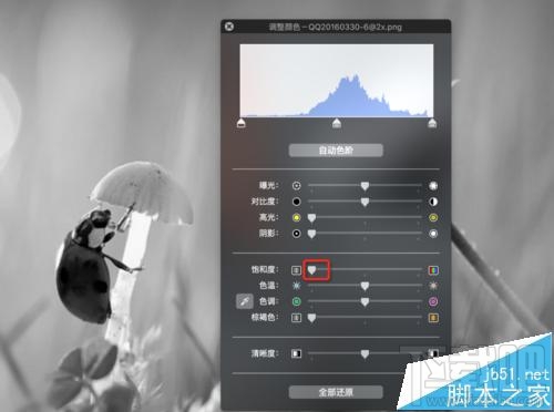 mac系統(tǒng)中怎么用自帶的預(yù)覽工具將圖片變成黑白色?