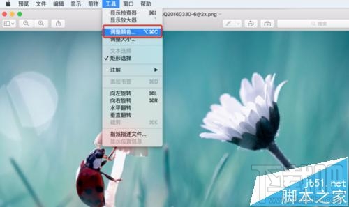 mac系統(tǒng)中怎么用自帶的預(yù)覽工具將圖片變成黑白色?