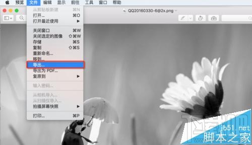 mac系統(tǒng)中怎么用自帶的預(yù)覽工具將圖片變成黑白色?