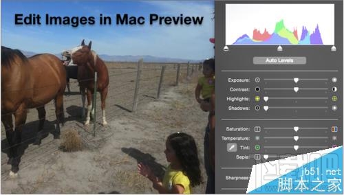 mac系統(tǒng)怎么修改預(yù)覽圖片顏色?