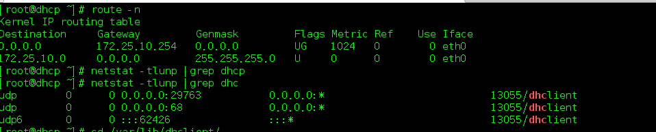Linux實(shí)現(xiàn)DHCP服務(wù)器的搭建