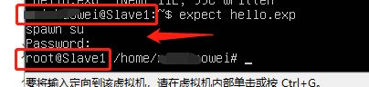 linux自動化交互腳本expect詳解