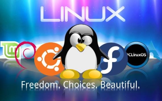 為什么高手離不開Linux系統?