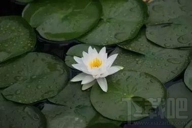 snapseed怎么修圖教程，snapseed手機版使用教程