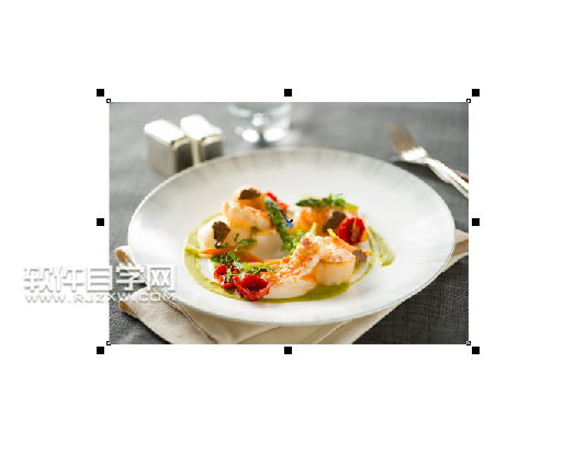 cdr怎么裁剪圓形圖片