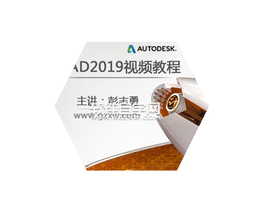 wps如何更改照片形狀