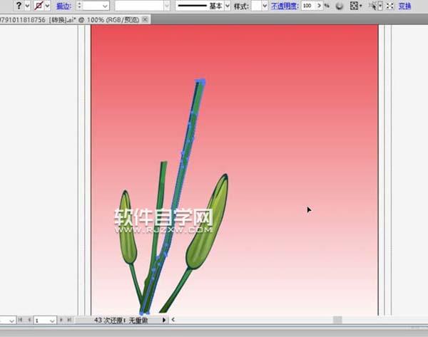 ai怎么畫百合花效果圖