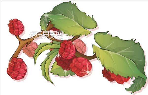 ai中繪制仿真水果