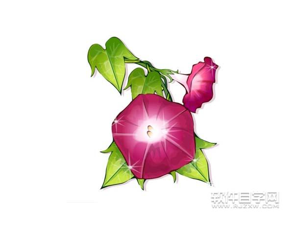 ai怎么畫牽牛花圖案