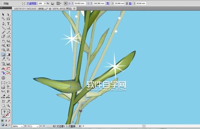 AI怎么畫甘菊