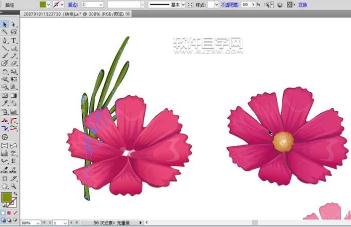 用AI設(shè)計(jì)波斯菊畫法
