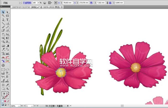 用AI設(shè)計(jì)波斯菊畫法