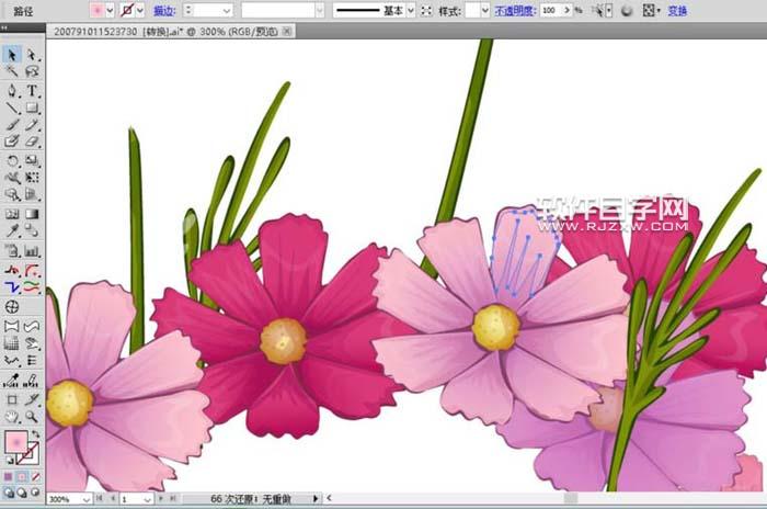 用AI設(shè)計(jì)波斯菊畫法