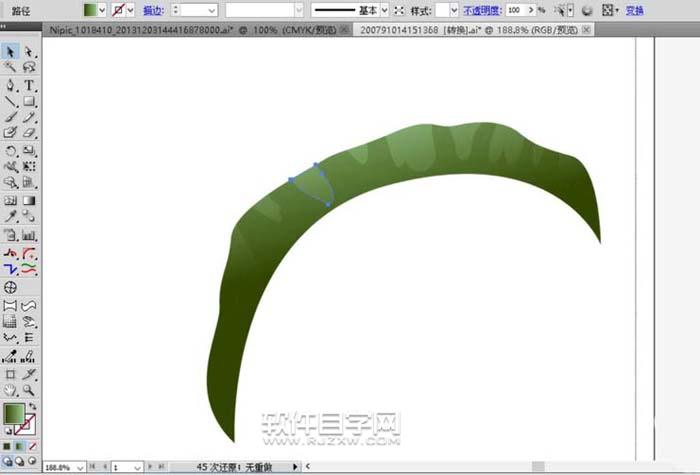 ai怎么繪制天堂鳥花